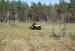 Ladoga-SS2-016 - www.jeeper.by