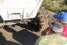 Ladoga-SS2-026 - www.jeeper.by