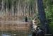 Ladoga-SS8-024 - www.jeeper.by