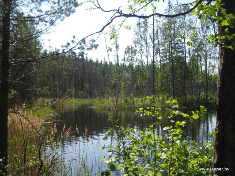 Ladoga-SS4-058 - www.jeeper.by